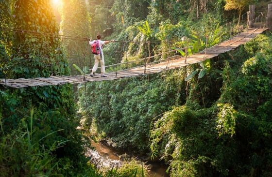 Discover Local Food, Eco Travel and Sustainable Solutions at the Green Living Show