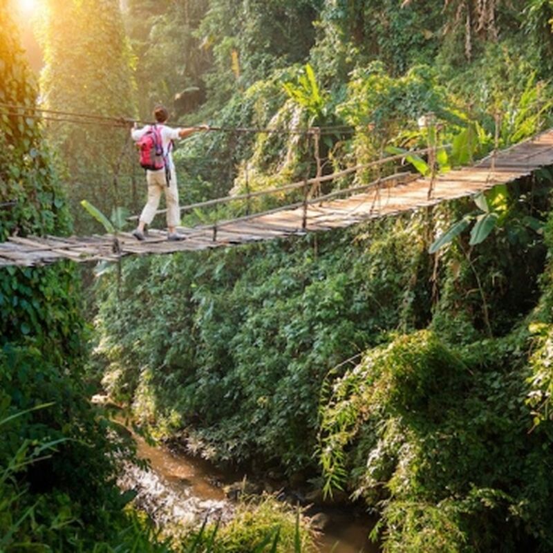 Discover Local Food, Eco Travel and Sustainable Solutions at the Green Living Show