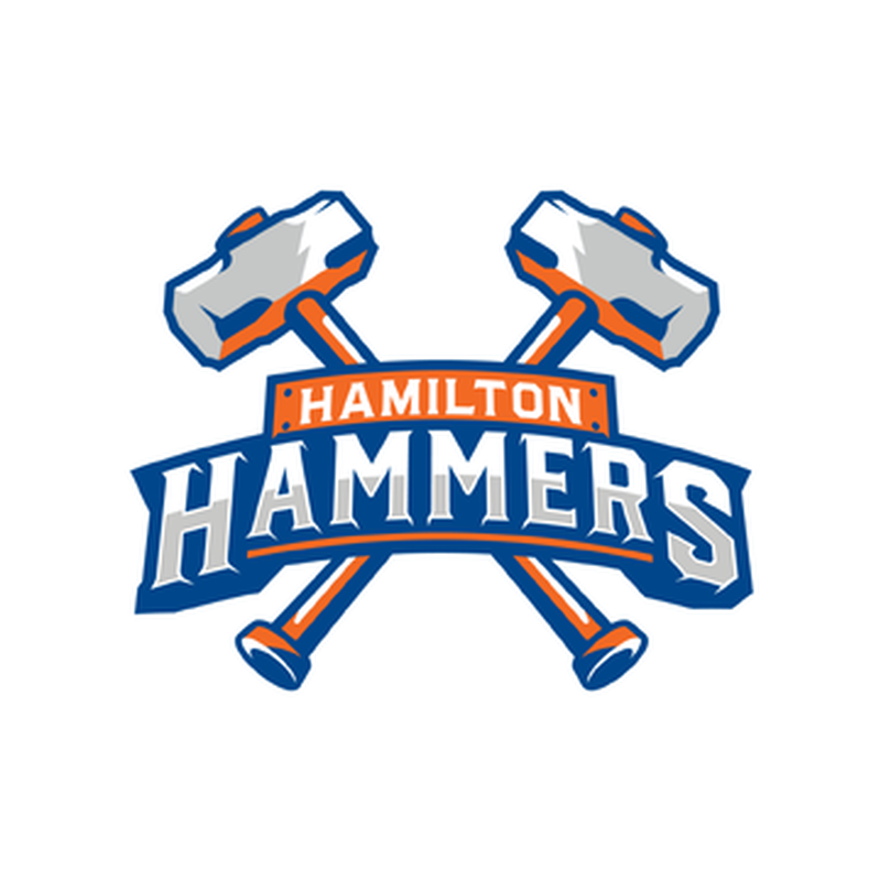 A NEW ERA BEGINS: INTRODUCING THE HAMILTON HAMMERS