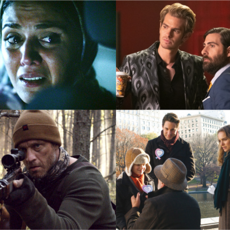 IFC May Highlights