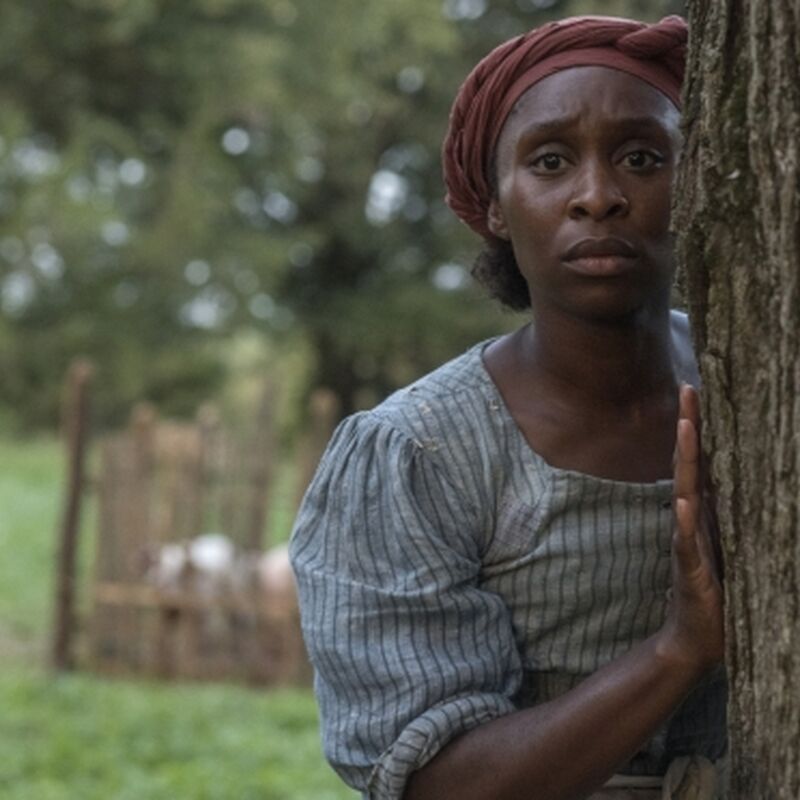 Touchwood PR's Full TIFF 2019 Film Lineup